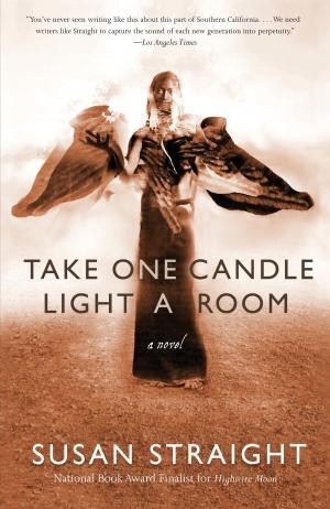 Cover of the book Take One Candle Light a Room by Brian Castner