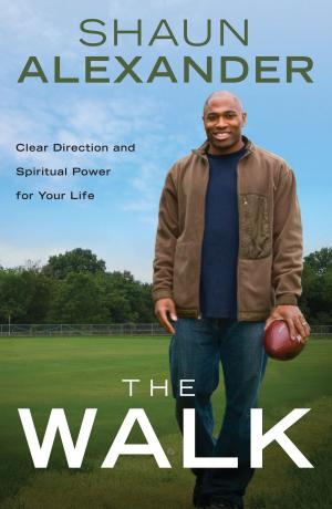 Cover of the book The Walk by Shannon Ethridge, Stephen Arterburn