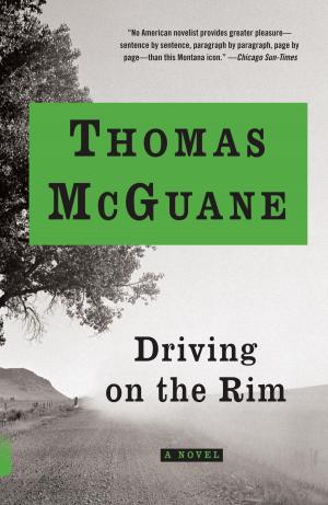 bigCover of the book Driving on the Rim by 