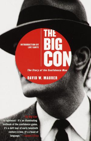 Cover of the book The Big Con by Steve Yarbrough