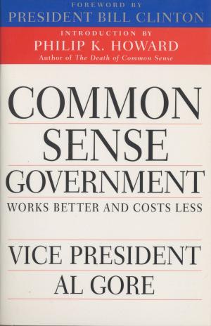 Book cover of Common Sense Government