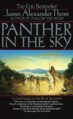 Book cover of Panther in the Sky