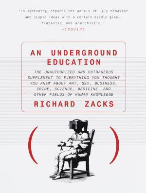 Cover of the book An Underground Education by 