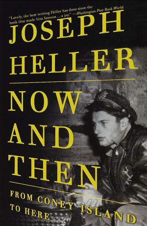Cover of the book Now and Then by Lawrence Weschler