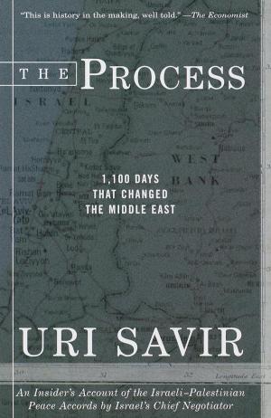 Cover of the book The Process by Elie Wiesel