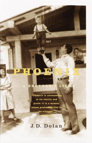 Book cover of Phoenix