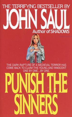 Cover of the book Punish the Sinners by Judy Serrano