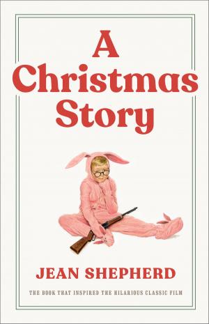 Cover of the book A Christmas Story by Stuart Oldfield