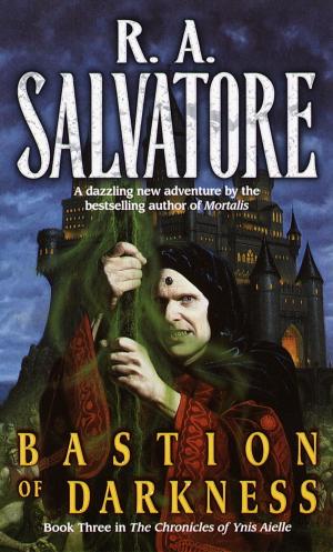 Book cover of Bastion of Darkness