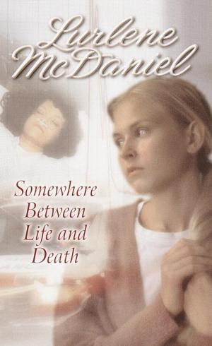Cover of the book Somewhere Between Life and Death by N. D. Wilson