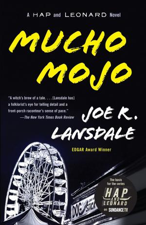 Cover of the book Mucho Mojo by Haruki Murakami