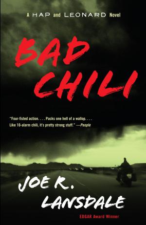 Cover of the book Bad Chili by Chris Bellamy