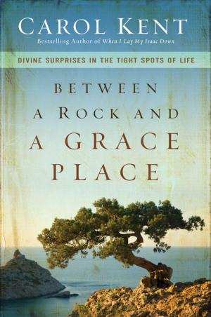 Book cover of Between a Rock and a Grace Place