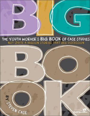 Cover of the book The Youth Worker's Big Book of Case Studies by Liz Babbs
