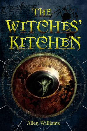 Cover of the book The Witches' Kitchen by David Crawford