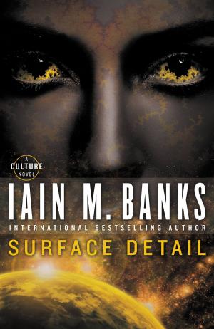 Cover of the book Surface Detail by Iain M. Banks