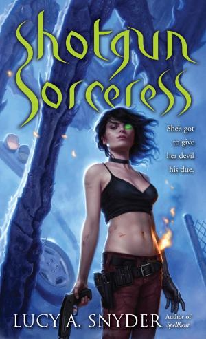 Cover of the book Shotgun Sorceress by Peter V. Brett