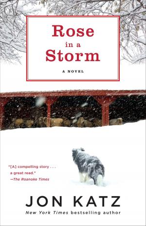 Cover of the book Rose in a Storm by Lee Child