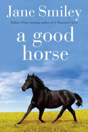 Cover of the book A Good Horse by Il Sung Na