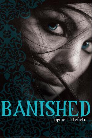Cover of the book Banished by Andrea Posner-Sanchez