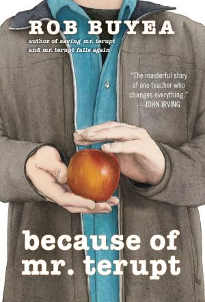 Cover of the book Because of Mr. Terupt by Rebecca Stead