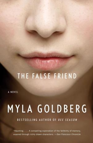 Book cover of The False Friend