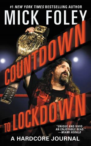 Cover of the book Countdown to Lockdown by Sharon Lucas