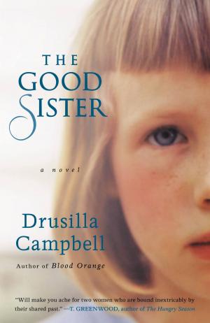 Cover of the book The Good Sister by Curt Smith, The National Baseball Hall of Fame
