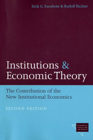 Cover of the book Institutions and Economic Theory by Dana R. Ferris