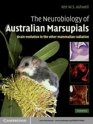 Cover of the book The Neurobiology of Australian Marsupials by Yoram Dinstein
