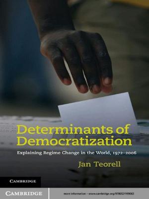 Cover of the book Determinants of Democratization by Katrin Paehler