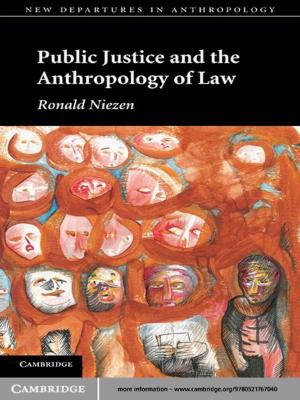 bigCover of the book Public Justice and the Anthropology of Law by 