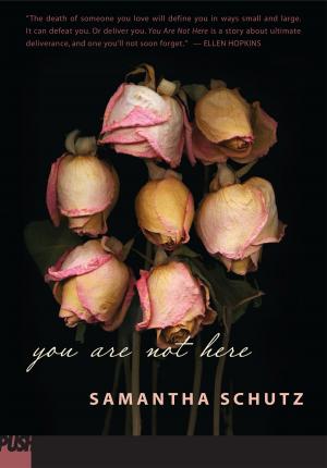 Cover of the book You Are Not Here by Troy Cummings