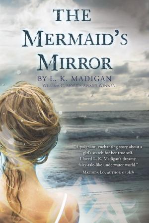 Cover of the book The Mermaid's Mirror by Zoë Ferraris
