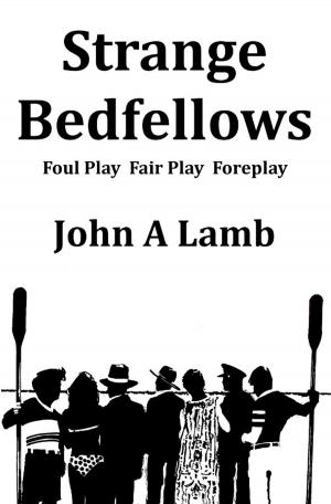 Book cover of Strange Bedfellows: Foul Play Fair Play Foreplay