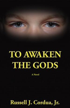 Cover of the book To Awaken The Gods by A.J. Chapelle