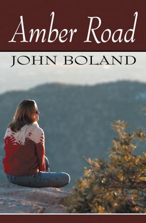 Cover of the book Amber Road by Gary P. Jones