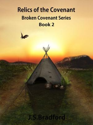 Cover of the book Relics of the Covenant [Bk 2] by Sharon Kull