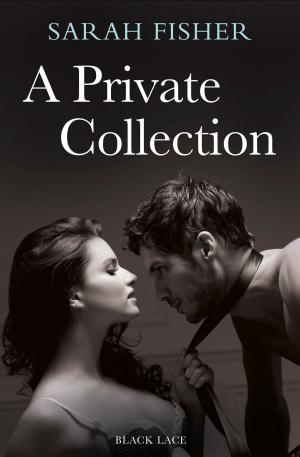 bigCover of the book A Private Collection by 