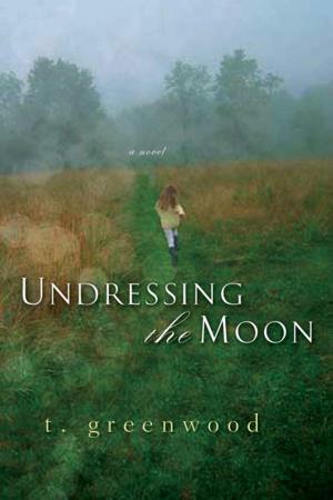 bigCover of the book Undressing The Moon by 