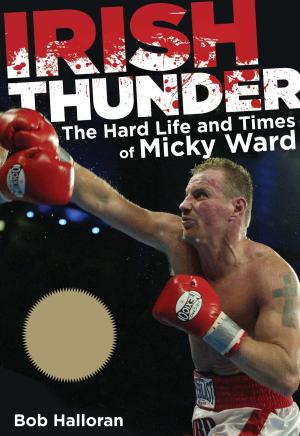 Cover of the book Irish Thunder by Tevi Troy