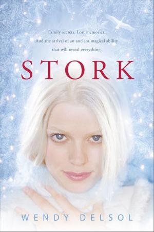 Cover of the book Stork by Verena Radlingmayr