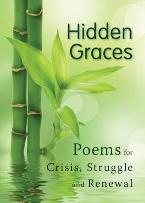 Cover of the book Hidden Graces by William E. Rabior, ACSW, Vicki Wells Bedard