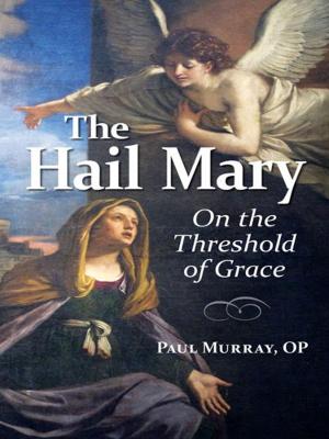 Cover of the book The Hail Mary by Gary Zimak