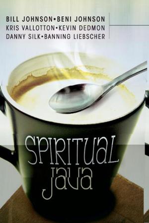 Cover of the book Spiritual Java by Adrienne Thomi Vaughan