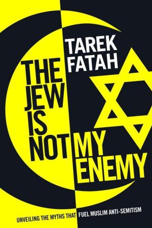 Cover of the book The Jew is Not My Enemy by Glenn Patterson