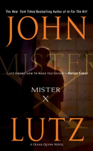 Cover of the book Mister X by Gregg Olsen