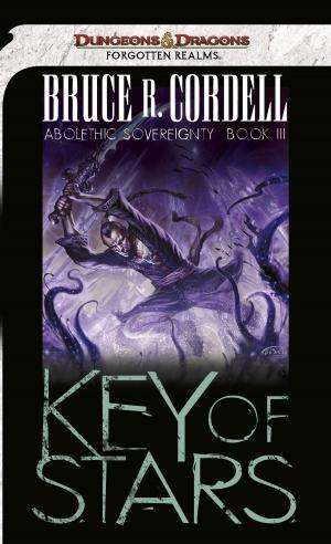 Cover of the book Key of Stars by Keith Baker