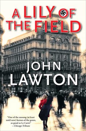 Cover of the book A Lily of the Field by Jamie Quatro