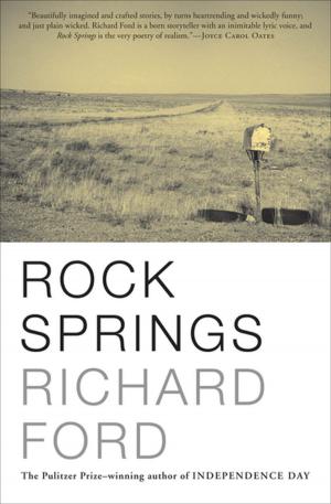 Cover of the book Rock Springs by P. J. O'Rourke